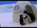 Pingu S01 E24