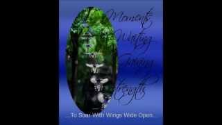 Higher In Time - The Waterboys