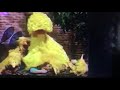 Big Bird Telly And The Birdketeers Napping In 3797