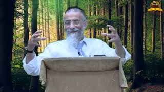 היצר הרע החיצוני והיצר הרע הפנימי - הרב מיכאל לסרי בהסבר עמוק (קו ההלכה הספרדי) - התמונה מוצגת ישירות מתוך אתר האינטרנט יוטיוב. זכויות היוצרים בתמונה שייכות ליוצרה. קישור קרדיט למקור התוכן נמצא בתוך דף הסרטון