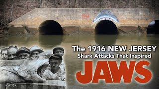 The 1916 New Jersey Shark Attacks...That Inspired JAWS   4K