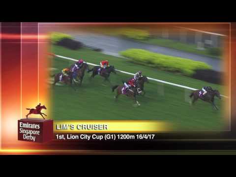 Emirates Singapore Derby 2017 Contenders (Lim's Cruiser)