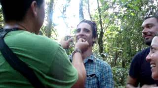 preview picture of video 'Ant eating in Cuyabeno national park.MPG'