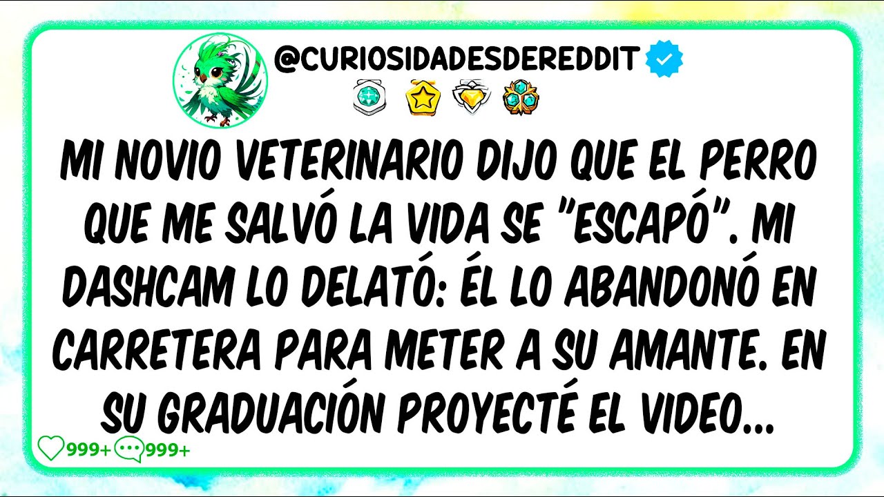 Mi novio veterinario dijo que el Perro que me salvó la Vida se "escapó". MI dashcam lo delató...
