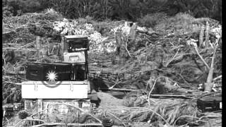 US soldiers traverse the German quadruple mount 20mm Flak gun near Salerno Italy. HD Stock Footage