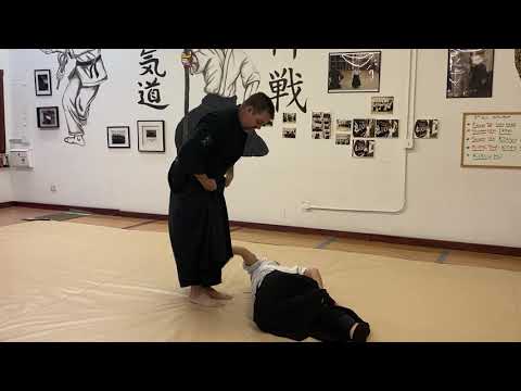 Shomen Uchi Ikkyo Tenkan