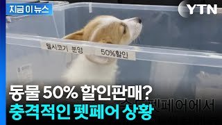 유튜브 썸네일