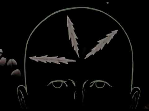 Something Like - Immi Larusso