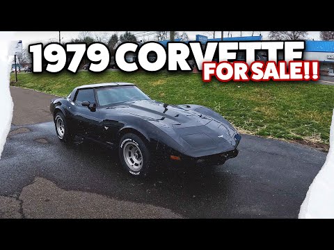 1979 Chevrolet Corvette (CC-1705730) for sale in Penndel, Pennsylvania