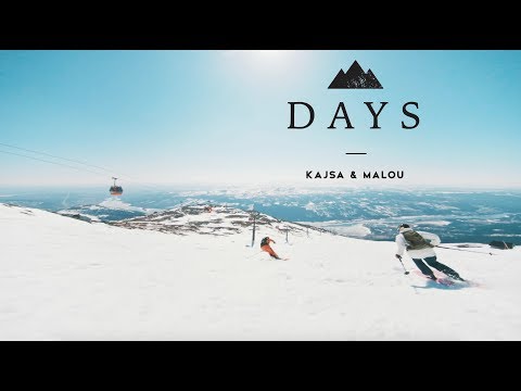 IS THAT A TURTLE ? - KM:DAYS - S2 - EPISODE 5