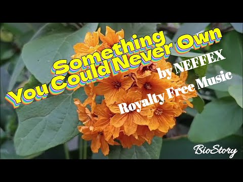 SOMETHING YOU COULD NEVER OWN by NEFFEX [Royalty Free Music]
