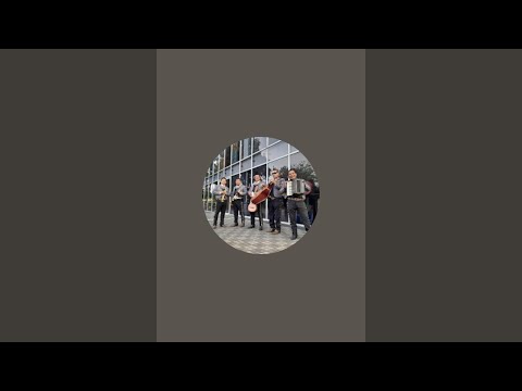 ¡Mariachis, Aventuras y Musica en Vivo está emitiendo en directo!