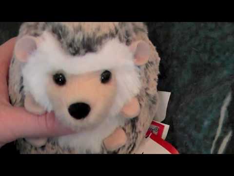 download lagu mp3 mp4 Douglas The Hedgehog, download lagu Douglas The Hedgehog gratis, unduh video klip Download Douglas The Hedgehog Mp3 dan Mp4 Unlimited Gratis