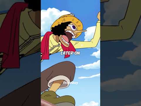 All the Characters Who Have Used Luffy's Straw Hat 💀