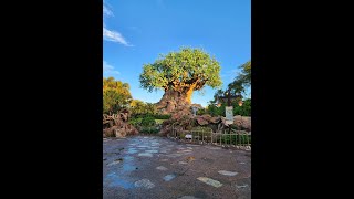 Disney's Animal Kingdom