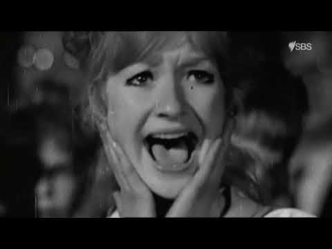 Scott Walker, influential rock enigma, dies aged 76