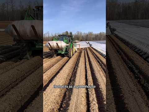 How fast can you grow potatoes 🥔 #farming