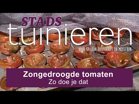 , title : 'Stadstuinieren - Zongedroogde tomaten - Zo doe je dat. #moestuin'