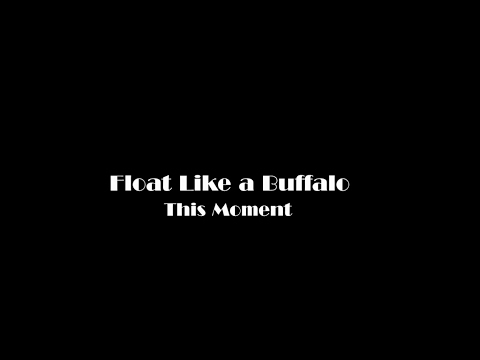 This Moment - Official Music Video - Float Like A Buffalo