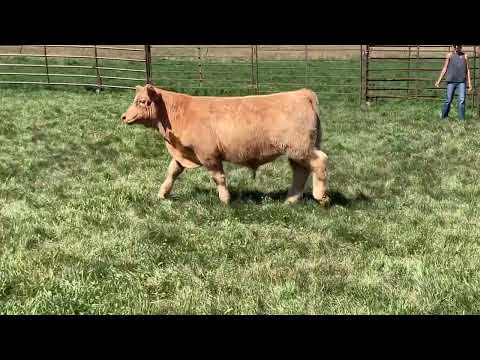 Tag 21 video