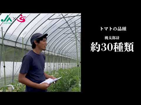 トマト（インタビュー）｜JAめぐみの×美・デザイン＆医療事務コース　産学連携授業作成動画｜中部学院大学・中部学院大学短期大学部