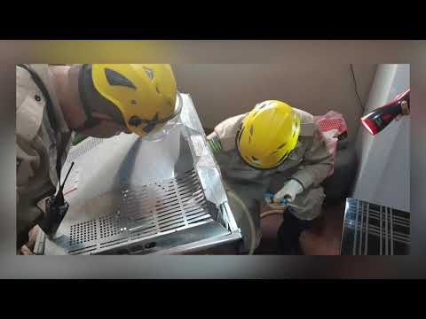 Tv Sucesso 2019  Resgate de Animais Silvestres