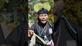 Download lagu Kata Kata Siswa PSHT Los Ga Rewel mp3