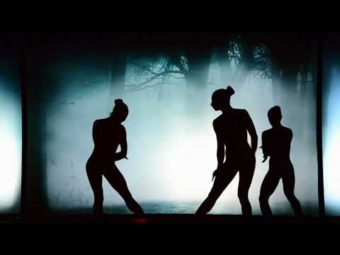 Timothy Jaromir - Liminal (teaser)