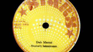 The Musical Intimidators - Experience Dub
