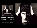 Peter Murphy - Velocity Bird [Audio]