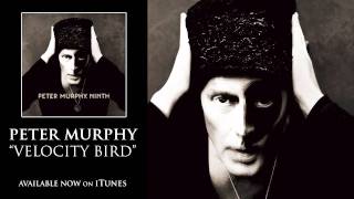 Peter Murphy - Velocity Bird [Audio]