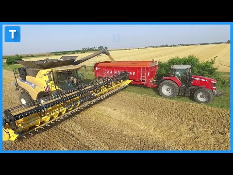 Wheat and Canola Harvest From Harvest to Store House Complete Process!!