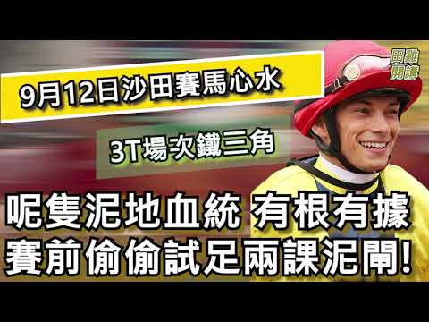【賽馬貼士】香港賽馬 9月12日 沙田馬場 3T場次鐵三角| 呢隻泥地血統有根有據 賽前偷偷試足兩課泥閘!