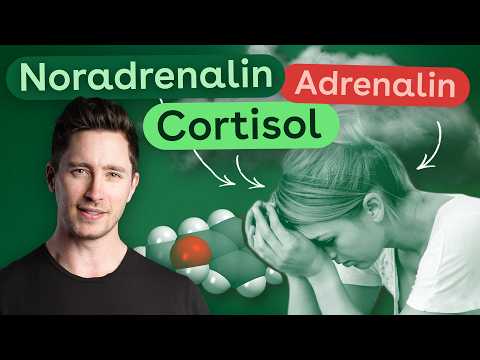 Stresshormone: So wirken Cortisol, Noradrenalin und Adrenalin