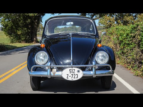 1966 VW Beetle Pigalle Walk Around and Start Up!