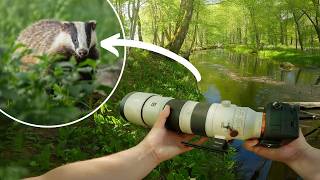 POV Nature Photography - Summer Birds & Wildlife