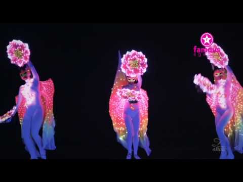 Famous Agency | Z Show - Butterflies of paradise