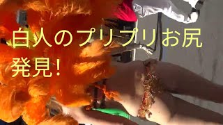 日本で白人女のサンバはドキドキするね　吉祥寺音楽祭