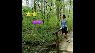 Gay Travel Guide: Memphis, TN USA