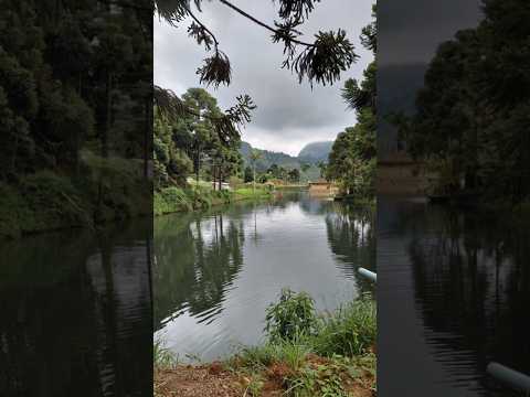 Araponga-MG-cachoeiras.#cachoeiras #minasgerais #fyoupage