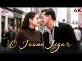 O Jane Jigar 4K Video Song Yeh Hai Jalwa Salman Khan Amisha Patel Kumar Sanu Alka Yagnik