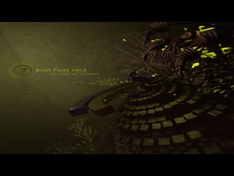 Eartheogen - 11th Dimension