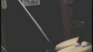 Michael Thorne taught his cat how to play the  Bongos