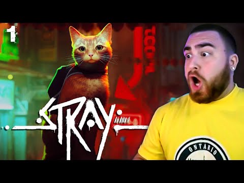 LosPollosTV Becomes A 🐱...  First Time Playing Stray (Part #1)