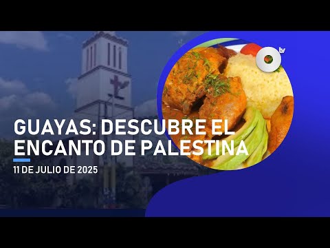 #NoticiasEcuador | Palestina "Corazón del Guayas" 11/07/2025