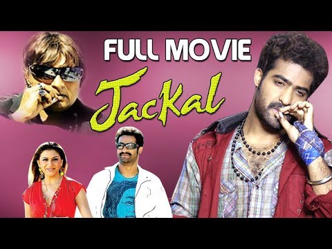 Jackal Full English Dubbed Movie HD | NTR | Hansika | Sunil | Kantri Telugu Movie