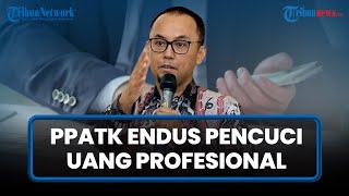 Sejumlah Rekening Terkait Rafael Diblokir, PPATK Endus Peran Pencuci Uang Profesional