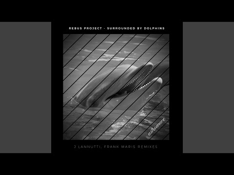 Surrounded by Dolphins (J Lannutti Remix)