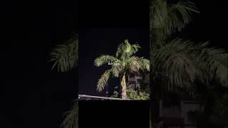 Download lagu Meri Banogi Kya 🤍 Lyrics - #asthetic #shorts #youtube #lyrics #hindisong #edit mp3