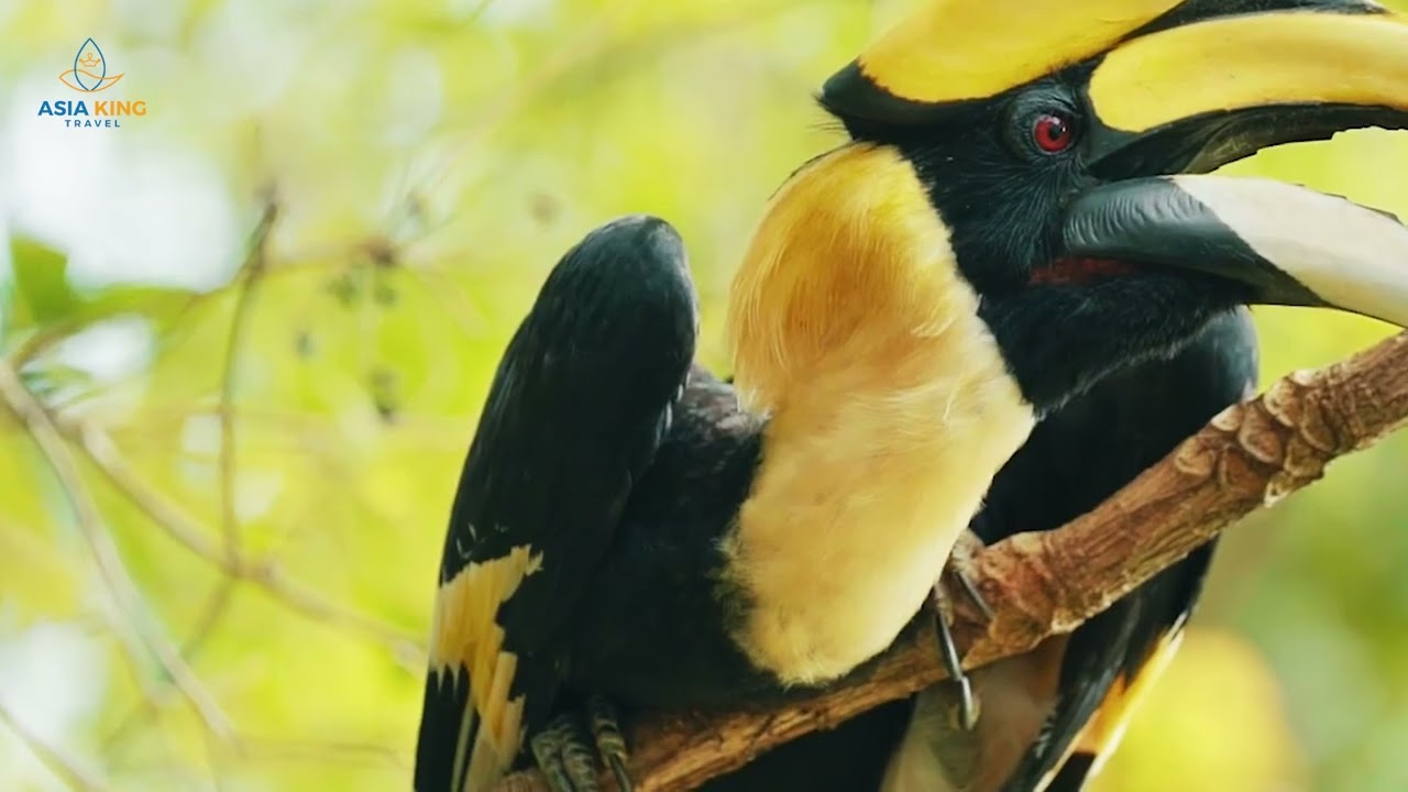 Koh Kong, Cambodia – A Journey Into Pure Nature & Island Life